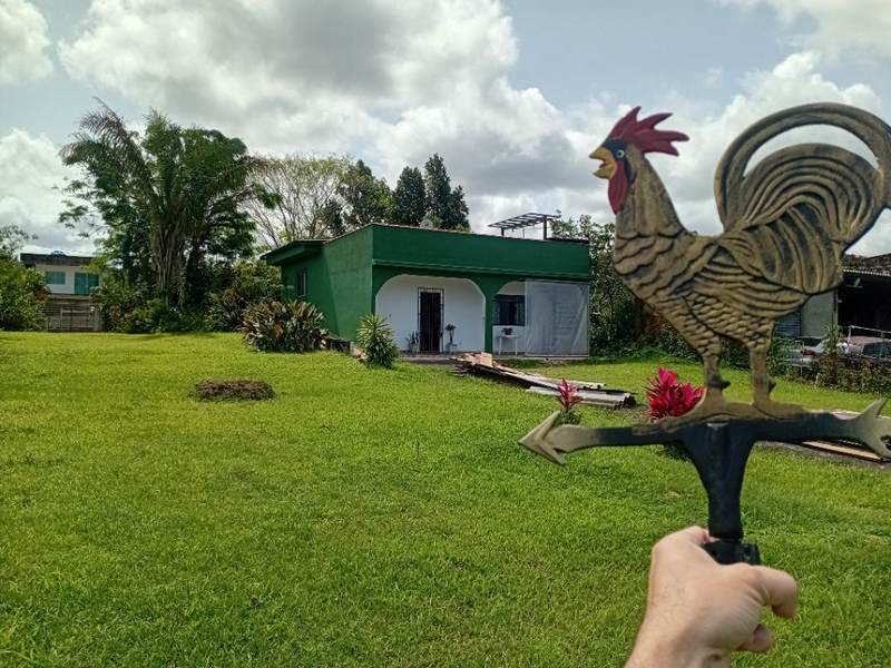 O Galo Catavento do telhado, chegou!!!